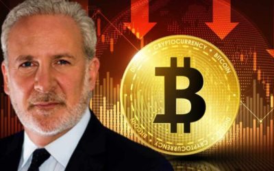 Economist Peter Schiff Warns Bitcoin May Not Rise When Other Financial Assets Rebound