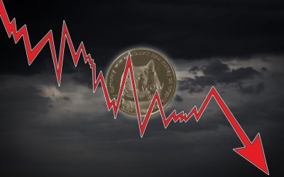 Biggest Movers: DOGE, LINK Fall to 10-Day Lows on Wednesday