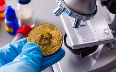 BTC, ETH, ADA, BNB Ranked the Most Watched Crypto Assets in 2022