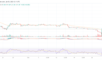 Solana jumps by 7% to surpass the $11 resistance mark: Should you buy?