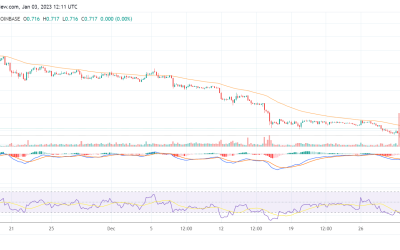 FLOW leads the charge as broader crypto market experiences mixed performances