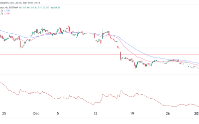 Near price stages a slow recovery: Will these gains hold?