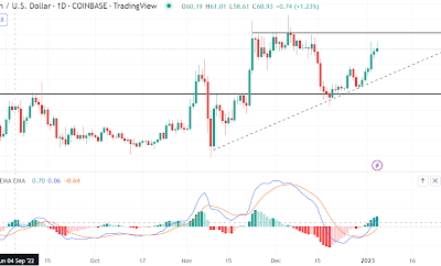 Litecoin remains bullish, but it must overcome a key level