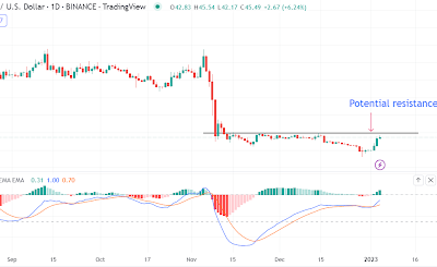 Solana interest grows as price eyes a bullish push after weekly 40% gains