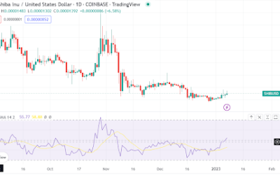 Shiba Inu’s whale buying intensifies but does price action show it?