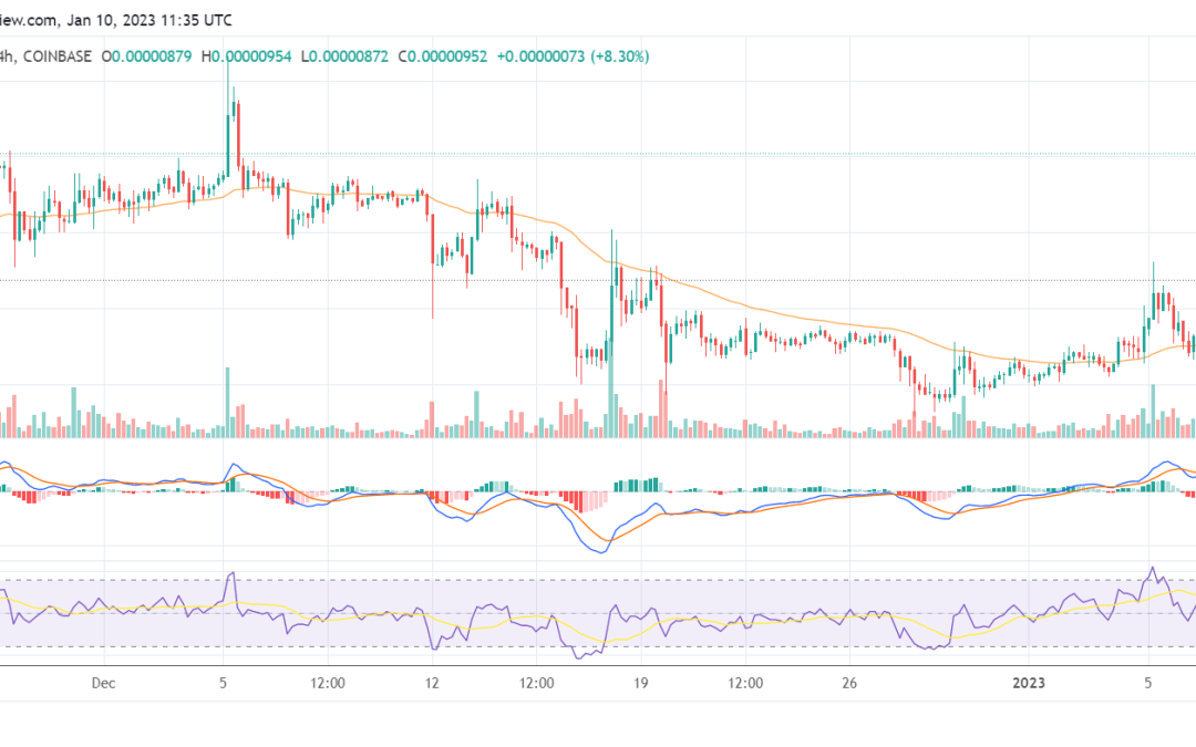SHIB is up by 3% as whale suggests token burn when Shibarium launches