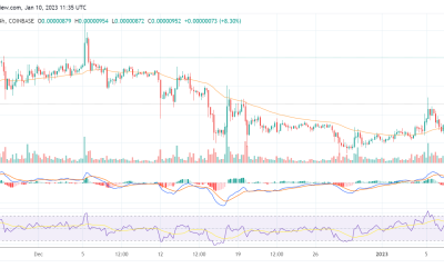 SHIB is up by 3% as whale suggests token burn when Shibarium launches