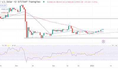 Bitcoin could tank further but you might be excited by this Bloomberg prediction