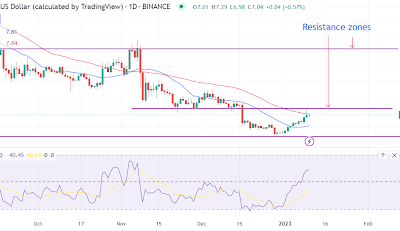 Polkadot prediction as price embarks on a relief rally from the $4.2 bottom