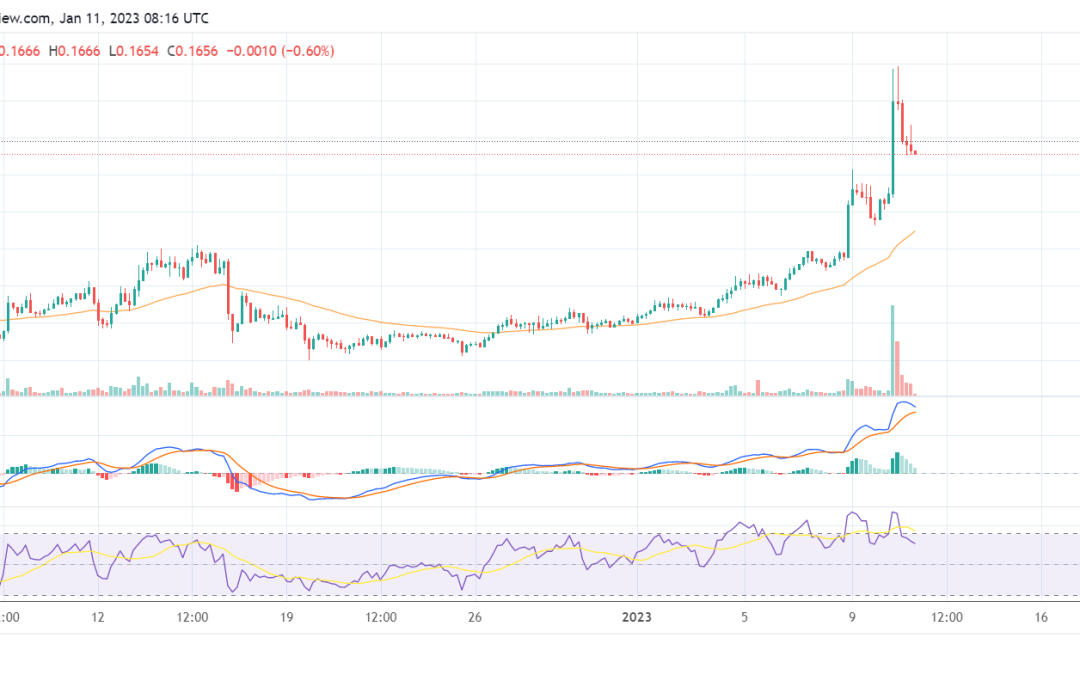 WOO rallies by 10% as the Woo Network burns 700 million of its total token supply