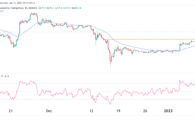 BNB price prediction as Binance Inflows Rebound