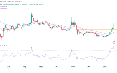 Shiba Inu price prediction ahead of Shibarium launch