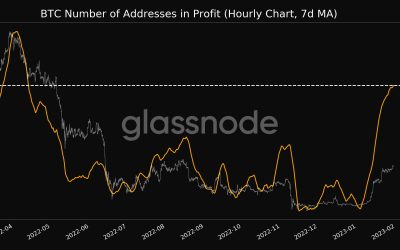 30 million Bitcoin addresses in profit as metric hits 9-month high