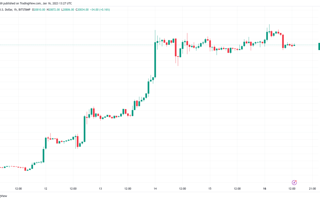 Bitcoin price breakout or bull trap? 5K Twitter users weigh in