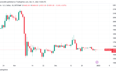 Bitcoin stays put with yearly close set to seal 60% YTD BTC price loss