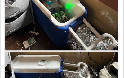 Bitcoin mining in a university dorm: A cooler BTC story