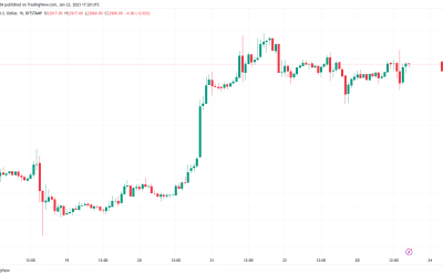 Bitcoin price stays near $23K as data shows hodlers not selling BTC