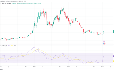 Bitcoin due new ‘big rally’ as RSI copies 2018 bear market recovery