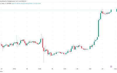 Dead cat bounce? Bitcoin price nears $23,000 in fresh 5-month high