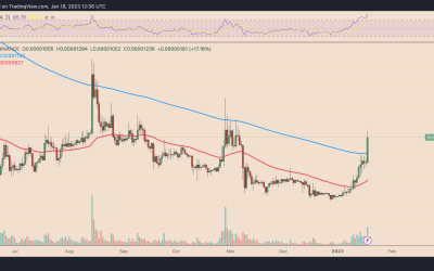 SHIB price preps for 75% boom as Shiba Inu teases L2 blockchain launch