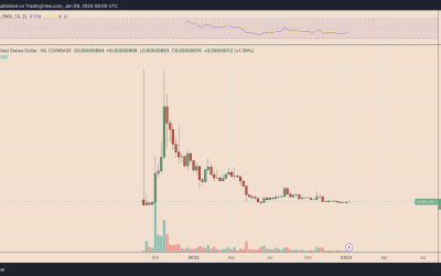 What is ShibaSwap and how does it work?