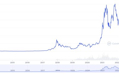 From Bernie Madoff to Bankman-Fried: Bitcoin maximalists have been validated