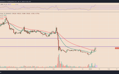 Solana price rally risks exhaustion after SOL’s 120% pump in two weeks