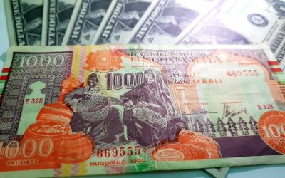 Report: Somalia to Fight Inflation and Counterfeiters With New Banknotes