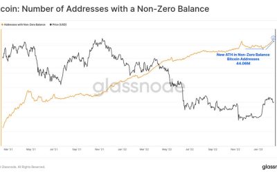 Bitcoin hits record 44M non-zero addresses, thanks to Ordinals: Glassnode