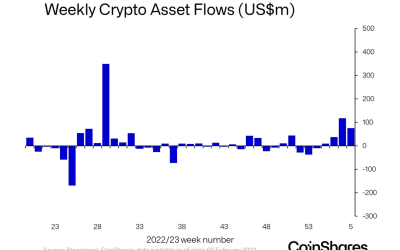 Bitcoin dominates as primary focus for digital asset investors: Report