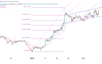 Crypto price predictions: Hedera (HBAR), Oasis (ROSE), Viberate