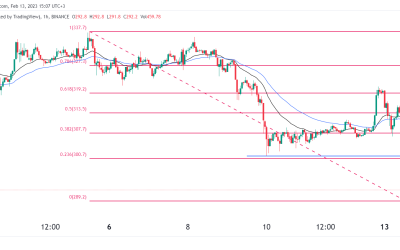 BNB coin price slips amid Binance outflows, BUSD woes