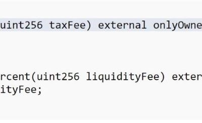 Dingo crypto token flagged as scam over 99% transaction fee backdoor