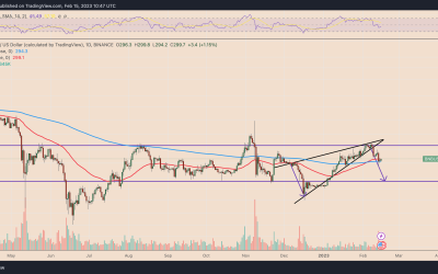 3 reasons why Binance’s BNB token risks sliding further by March