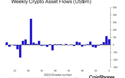 Bitcoin takes ‘lion’s share’ as institutional inflows hit 7-month high