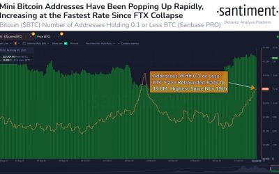 Bitcoin price over $20K creates FOMO with 620K new BTC wallets