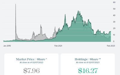 DCG offloads Grayscale shares to raise capital: Report