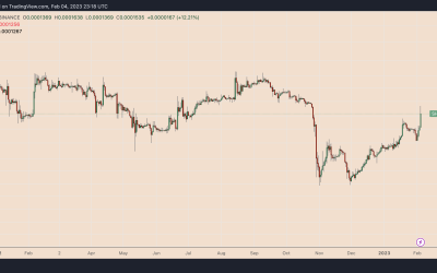 Shiba Inu price rebounds 100% after record lows against Dogecoin — more upside ahead?