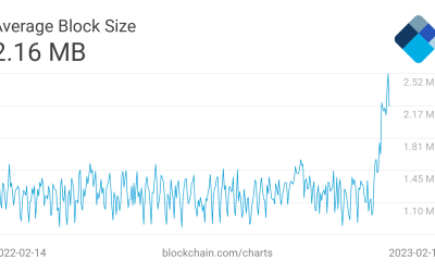 Out of the Ordinal-ry: Bitcoin average block size hits all-time high