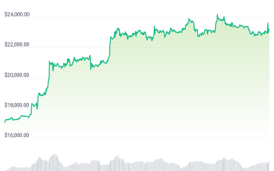 As Bitcoin nears $25K, questions about rally’s sustainability remain