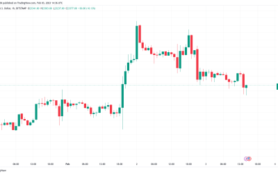 $20K Bitcoin may return, says analyst as US unemployment hits 54-year low