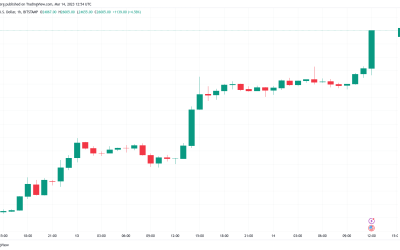 Bitcoin price sees new 2023 high as CPI sends BTC price above $26K