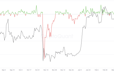 Bitcoin price falls to a multi-month low, but data points to a possible short-term bounce