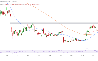 Bitcoin breaks below $20K amid crypto bloodbath: Here’s what happened