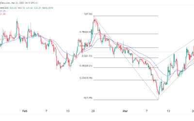 Solana price forms a rising wedge amid weak on-chain metrics