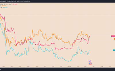 Bitcoin is beating Warren Buffett’s ‘crypto bet’ in 2023