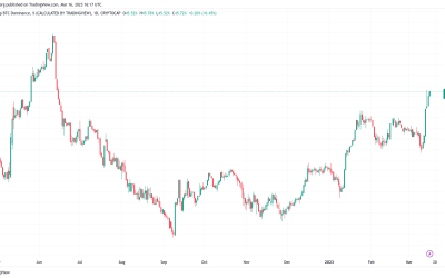 Bitcoin dominance nears 50% as research hails ‘bullish’ narrative flip