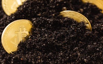 Number of Irretrievably Lost BTC Now 6 Million — Cane Island Manager