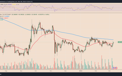 Why is XRP price up today?