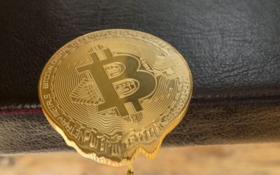 Steve Hanke Blasts Bitcoin: It Is ‘Not a Currency’ and Has a ‘Fundamental Value of Zero’